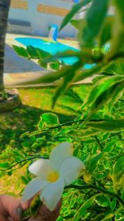 Presídio Beach House - 4