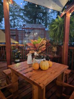 Paradise Gardens Glamping - 9