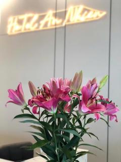 An Nhiên Hotel Măng Đen - 9