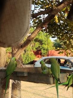 Desert night culture resort - 3