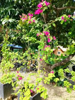 Leopoldo's Kampsite and Sports Cafe - 2