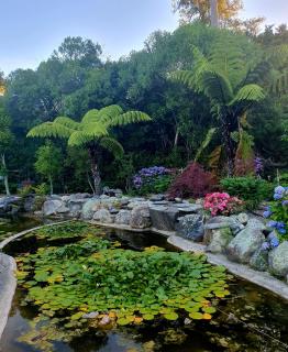 Lily Pad Apartment - 7