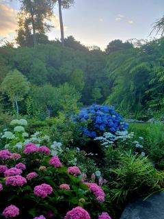 Lily Pad Apartment - 4