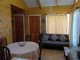 cabañas las vertientes villarrica - 2