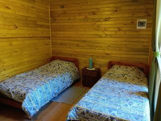 cabañas las vertientes villarrica - 1