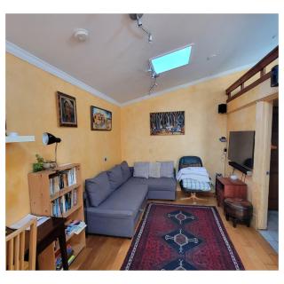 cozy 1 bedroom cottage in Albany - 5