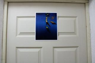 Casa de Ciencia, Cultura y Buena Onda - 4