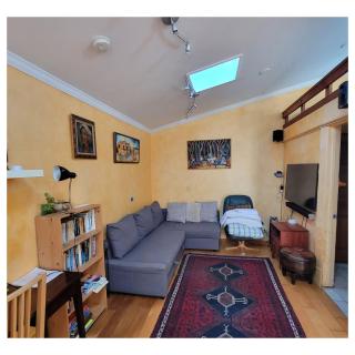 cozy 1 bedroom cottage in Albany - 2