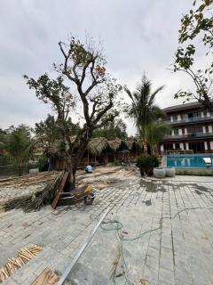 The Luna Tam Coc Hostel - Bar & Pool,Trekking Cuc Phuong - 3