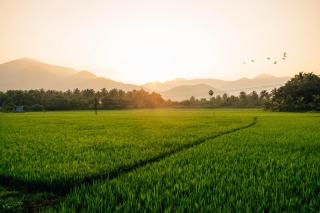 Yasuragi Boutique Resort - 8