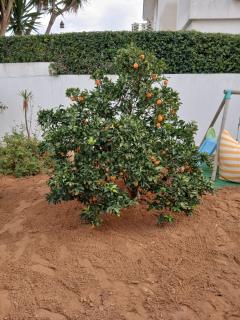 L'expérience Roof Top de La Marsa - 3