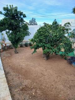 L'expérience Roof Top de La Marsa - 4