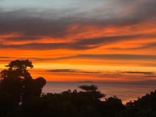 Jungle of Peace Guesthouse - 2