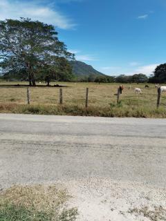 Villa Elena Vacation Home - 5