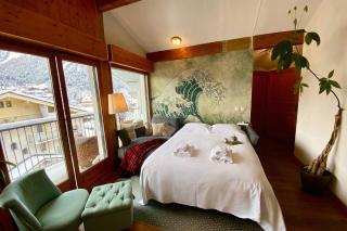 Chamonix Central Ski & panoramic view - Happy Rentals - 6