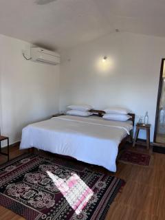 Home in the Jungle - 9