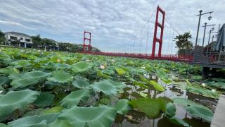 Vườn vua resort- Sunvillas - 4