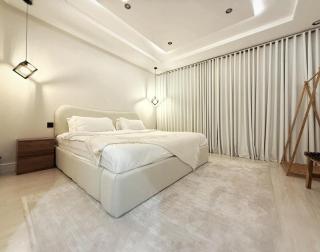 شقة غرفة نوم وصالة حديثة - 7