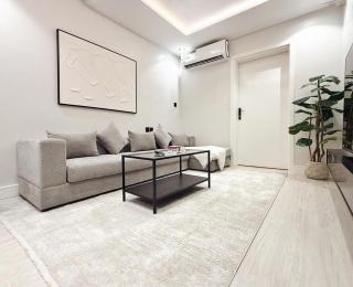 شقة غرفة نوم وصالة حديثة - 3