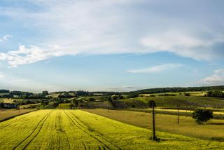 Gut Leithaberg - 4