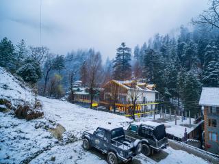 The Hosteller Jibhi - 8