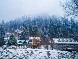 The Hosteller Jibhi - 5