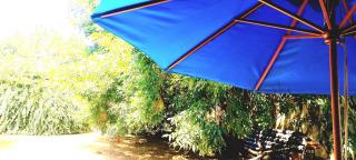 vainilla y lavanda - 9