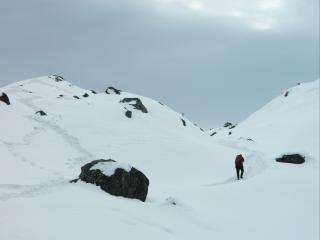 The Hosteller Kasol - 3