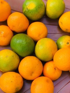 Aman magic resort - 2