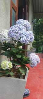 River side geust house - 9