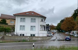 Ruheoase Widen Garten & Pool Zug 30m - 9