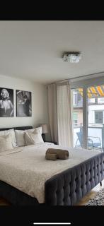 Cozy apartment in Zurich Seefeld - 8
