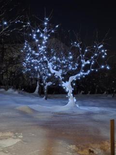 Madoyans Rest House - 4