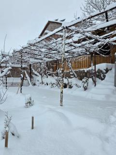 Madoyans Rest House - 7