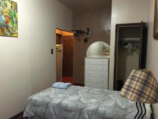 Beauty Near Times Square - 3