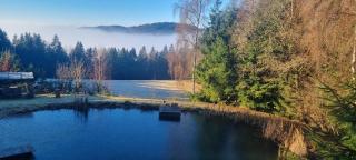 Ferienwohnung Waldidyll - 7