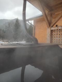 Cabana Mareea -Lunca Bradului - 9