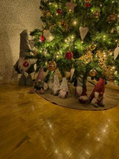 A terraced house by the river! - 8