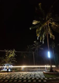 20 mins from yana caves A peaceful farmhouse with greenery and pool - 3