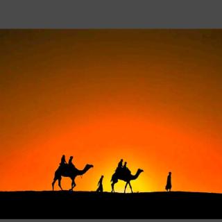 Jaisalmer Villa Resort & Camp Jaisalmer - 5