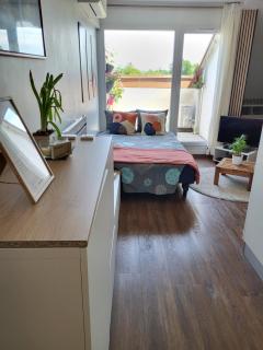 Beautiful Studio at Geneva airport Ferney Voltaire - 7