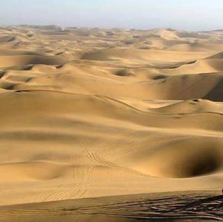 Jaisalmer Villa Resort & Camp Jaisalmer - 3