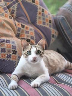 Relax Beach Camp - 3