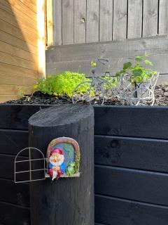 Brand-new Modern Princess in Central AKL - 3