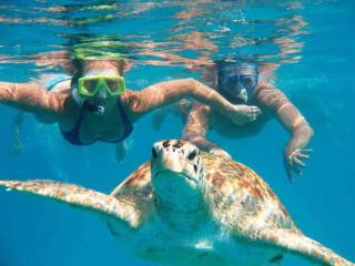 The Shore Residence - 9