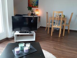 Beautiful Studio at Geneva airport Ferney Voltaire - 4