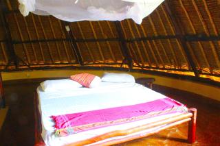 Upani in Diani - 8