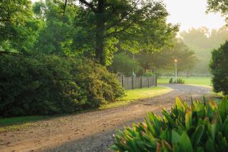 Maison D'Memoire Bed & Breakfast Cottages - Rayne - 1