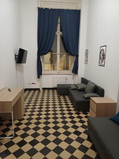 Piotrkowska 77 4 separete Bedrooms 4 osobne pokoje z osobna łazienką i kuchnią na korytarzu - 7