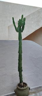 Villa Nour Kélibia - 2